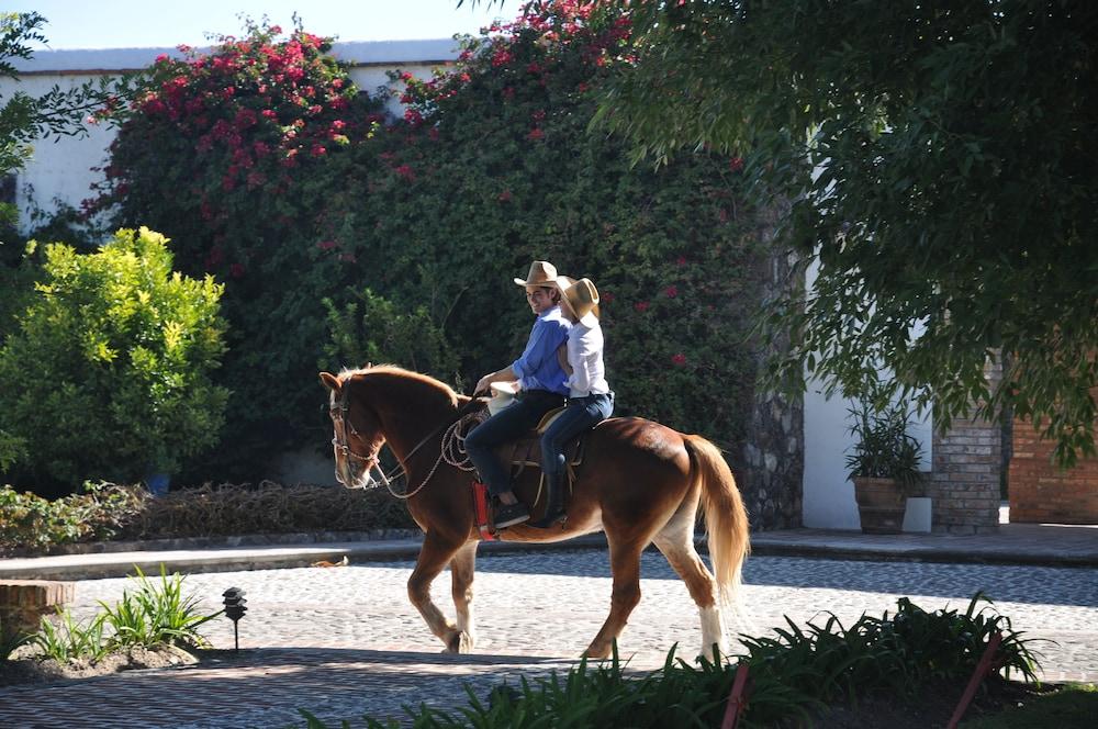 Hotel Hacienda Cantalagua Golf Contepec エクステリア 写真